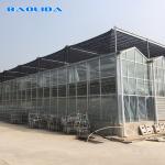 Agriculture Film Clear Polycarbonate Greenhouse Transparent Square Steel Frame