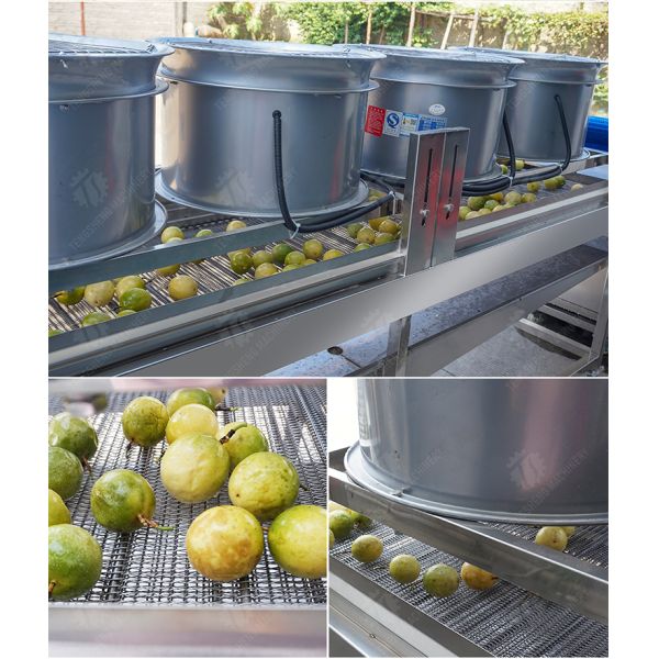 Silvery Personalization Passion Fruit And Vegetable Processing Line Fruit Cleansing Drying