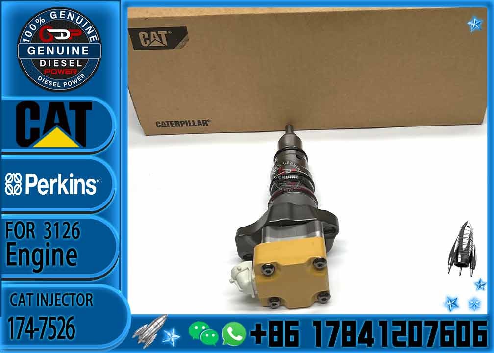 High Quality Diesel Fuel Injector 174-7526 111-7916 177-4753 138-8756 222-5963 222-5972 173-4059 155-1819