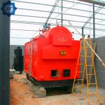 China Supplier Coal/Biomass Fired Steam Boiler For Factory,Workshop,Hospital