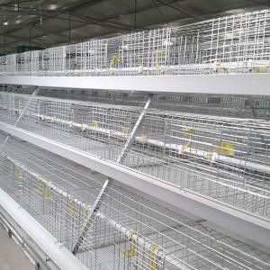 Wholesale Automatic 3 Tier Animal Cage , 96 - 120 Birds Broiler Cage System For Farm from china suppliers