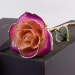 Valentine's Day Gift Of Real Rose Dipped In Gold New Arrival 24K Gold Plating