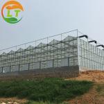 Glass Covered Cooling Pad Fan System Greenhouse for Large Agricultural
