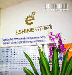 E.shine Systems Limited 