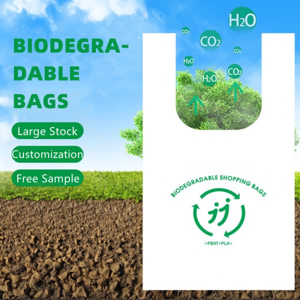Shopping Reusable Biodegradable Bags Customized Eco Friendly Plastic Bags