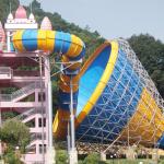 Large Fiberglass Water Slides 304 Stainless Steel Screw Funny Water Slide