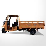 Citycoco Motorized Scooter 200CC/250CC 3 Wheels Cabin Trike with Rear Spring