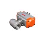 Customized Request Option Pneumission 2PC Pneumatic Valve
