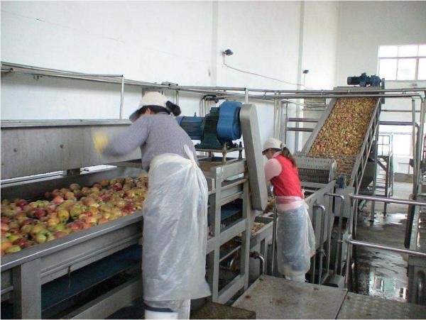 Stainless Steel SUS 304 Wire Mesh Belt Conveyor / Fruit Washing Conveyor Rust