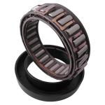 one way sprag cage Freewheels BWX13143 assembly with sprags and double cages