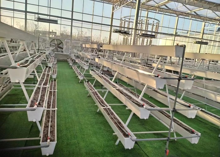 Strawberry Hydroponic Growing System Vertical Planting Cultivation PVC Gutter Indoors For Home