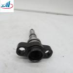 Liuqi Chenglong Parts Diesel Fuel Pump Plunger Element 2418455333 2 418 455 333