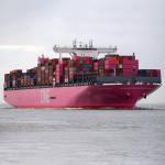 China To Brunei Cargo International Bulk Shipping Services / Breakbulk Shipping