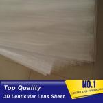 PLASTIC LENTICULAR Plastic PS/PET/PP Material 75/100/161 Lpi 3d lenticular lens