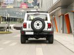ODM Tank SUV Car Luxury Compact SUV HP L4 Iron Ride 02 White Fuel