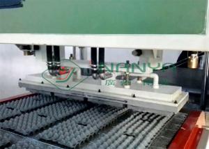 Wholesale Pulp Molding Paper Egg Carton Machine , Automatic Egg Trays Production Line from china suppliers