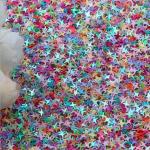 Nail Beauty Products Over Sky Star Sequin Mixed Glitter Mixed Color Chunky