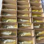 D13 Injector Diesel Common Rail BEBE4D24001 7421340611 9021371672 3801618