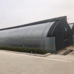 Agricultural Solar Greenhouses with Ventilation System and Customizable Arch