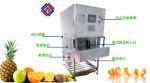 ODM 304 Stainless steel Fruit And Vegetable Peeler Machine