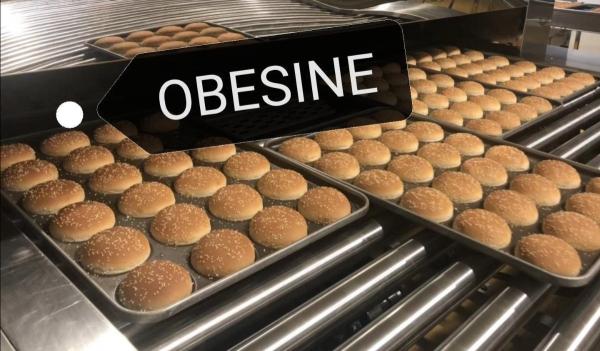 OBESINE full automatic Hamburger Buns Production Line,Automatic Sandwich bread