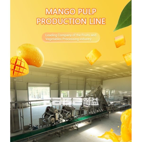 Mango Pulp Mango Processing Line Fruit Juice Machinery 0.5 - 120T/H