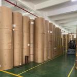 Europe Parchment Baking Paper Roll with Wood Pulp Material and Non-stick Coating