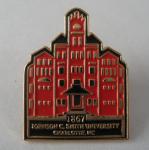 Competitive price OEM Iron / Brass Die Struck With Soft Enamel lapel pin badge