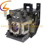 RLC-107 For Viewsonic Lamp PS700W PS700X PS750HD PS750HD PS750W