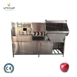 Wholesale Electric Apple Skin Peeler Machine Slicer Peeler Coring Machine for 500 KG Capacity from china suppliers