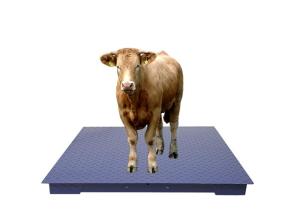 Wholesale Heavy Duty Industrial Weighing Scales With Chequer Plate And Load Cells from china suppliers