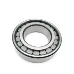 Chrome Steel NUP307E Cylindrical Roller Bearing Thickness 21mm With Nylon Cage