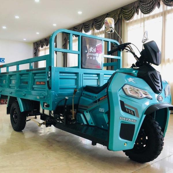 250CC Motorized Cargo Tricycle with 3 Wheel Motorcycle Trike Gasoline from