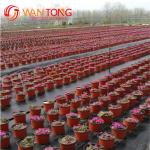200G/M2 Anti-UV Garden Weeding PP Woven Geotextile for Ground Cover and