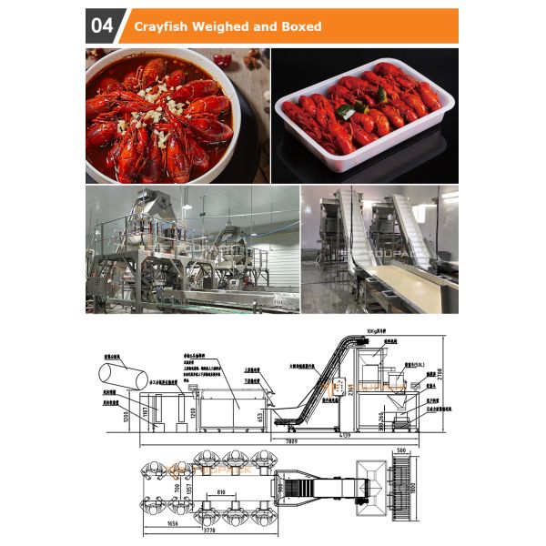 Automatic Instant Foodstuff Multihead Weigher Packing Machine Premade Bag Food Packaging Machines