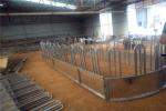 2m Steel Pipe Anti Rust Galvanized Hay Feeder Round For Cattle / Horse