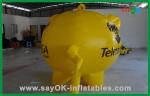 Mascot Inflatable Cartoon Characters