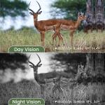 256GB Memory 20MP Night Vision Trail Wildlife Camera