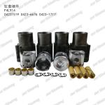 Liner Kit F4L914 04231519 0423-6676 0423-1717