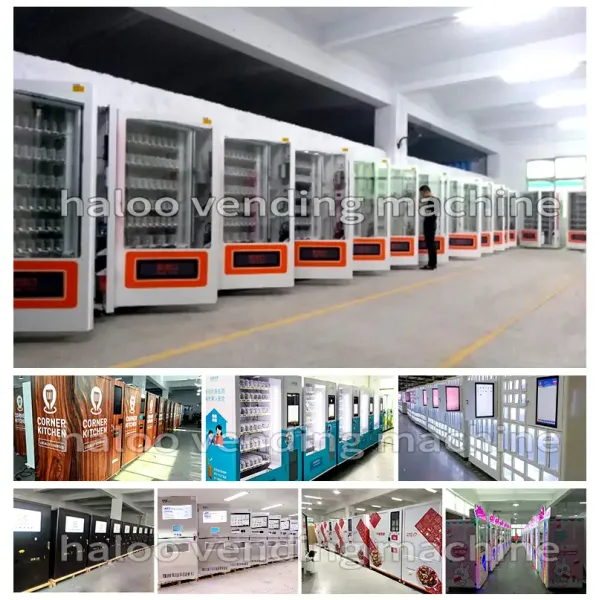Haloo 9-Lattice Custom Logo Flower Vending Machine with Cooling Function for Gift Giving ﻿