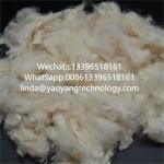 Allergen Free Soybean Protein Fiber Textile With Low Carbohydrate Content