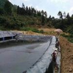 1mm Thickness HDPE Geomembrane for Fish Pond at Affordable in Black White Green
