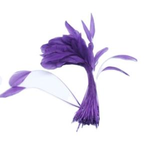Wholesale 8-10 Inch Teardrop Stripped Cock Coque Feather For Father'S Day Purple Green Pink from china suppliers