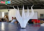 3m Inflatable Seaweed With 16 Color Changing Lights For Party Event Club
