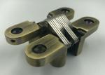 Professional Durable Concealed Cabinet Hinges Antique Brass Finish