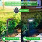 High End DC6V Solar Powered Outdoor Landscape Lights / 50 Lumen Solar Spotlight