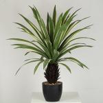 Clear Veins Artificial Dragon Tree Bonsai For Shopping Mall