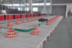PSF Goat Farming Plastic Flooring 50mm Plastic Slatted Flooring For Sheep