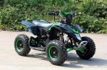 50cc Youth Racing ATV Utility Vehicle Single Cylinder Air Cooled For Adult Use