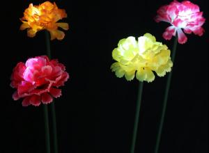 China LED Simulation Carnation Lights Park Lawn, Beautiful Display, Decorative Lighting Festival on sale